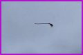 Disturbing video shows floating broom in the middle of the air and the internet is losing its collective mind