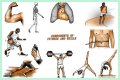 Single part of a gym exercise