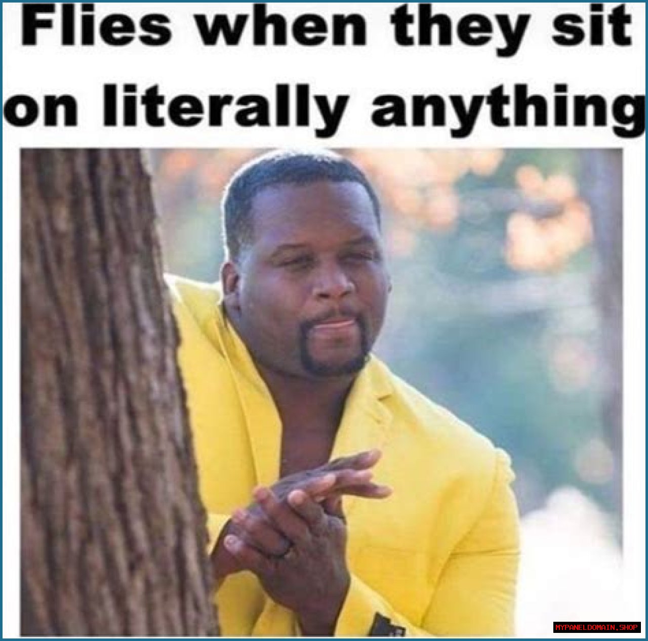 HTML